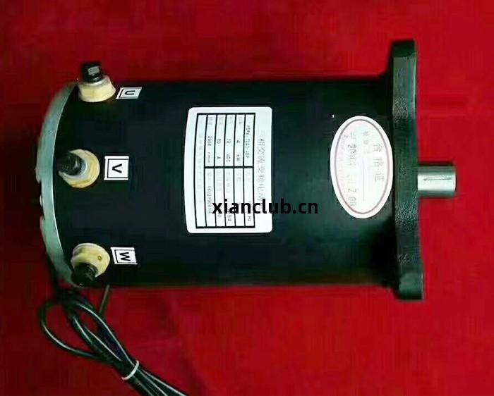 電(dian)動(dong)汽(qi)車(che)電(dian)機